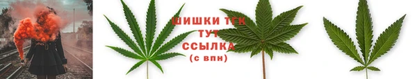 молекула духа Зерноград
