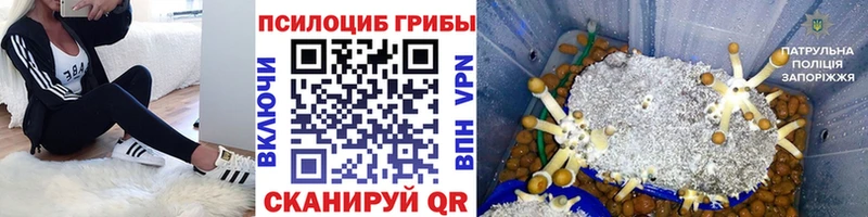 Купить закладки  Карпинск  Галлюциногенные грибы Psilocybine cubensis 